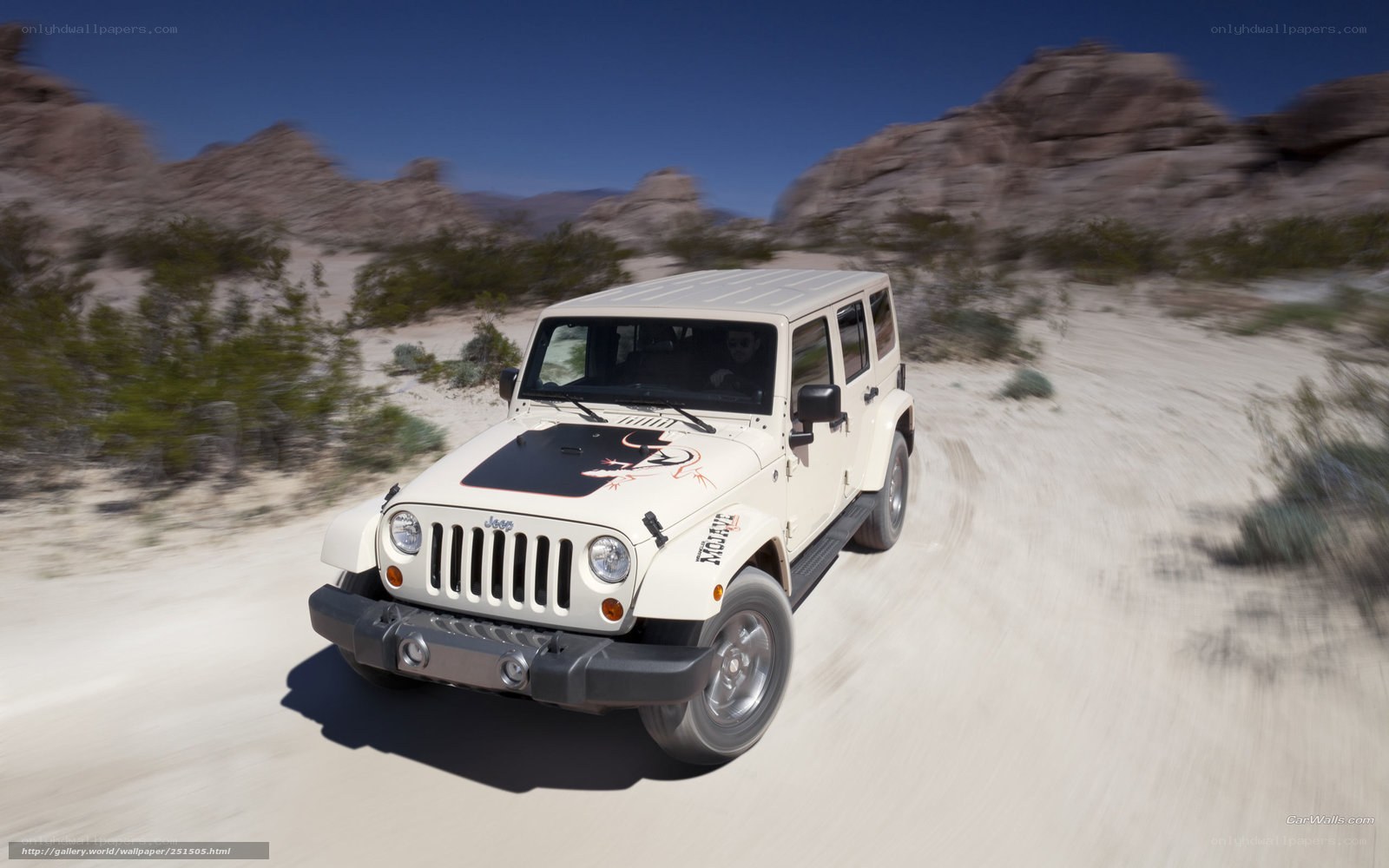 White Jeep Wrangler on desert trail