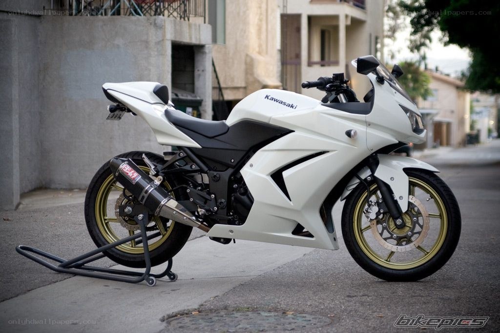 white kawasaki ninja motorcycle