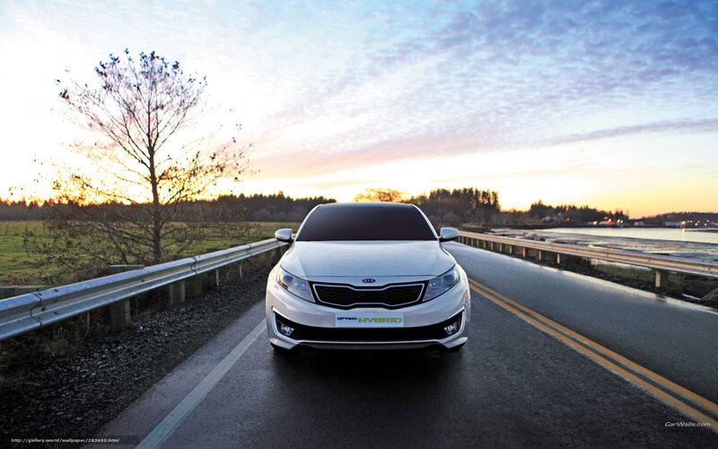 White Kia Optima Hybrid on a road