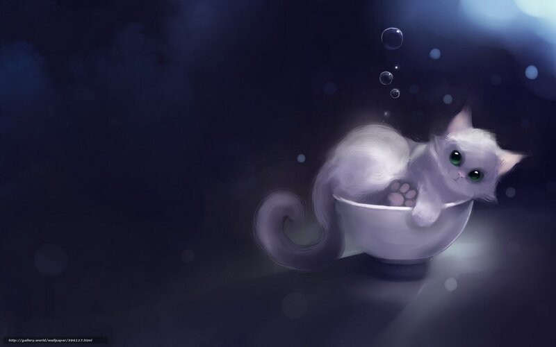 White kitten in a bowl
