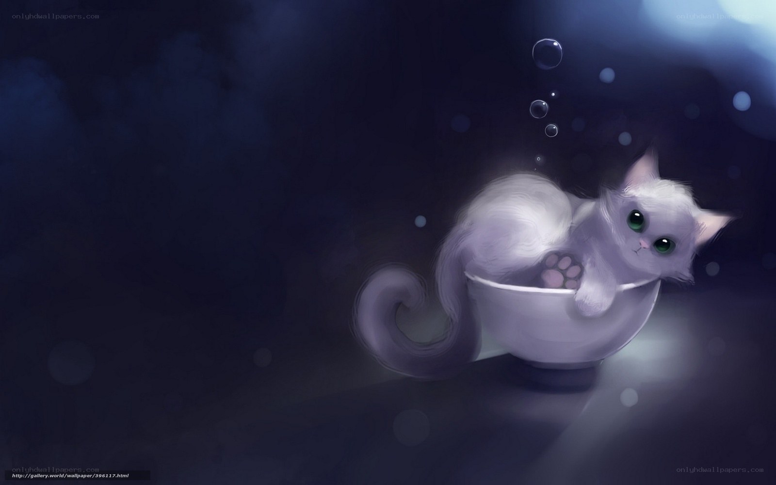 White kitten in a bowl
