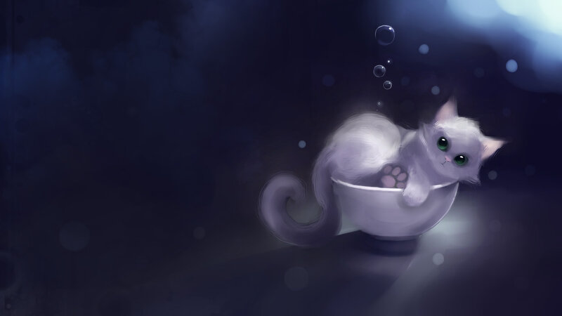 White Kitten in Bowl