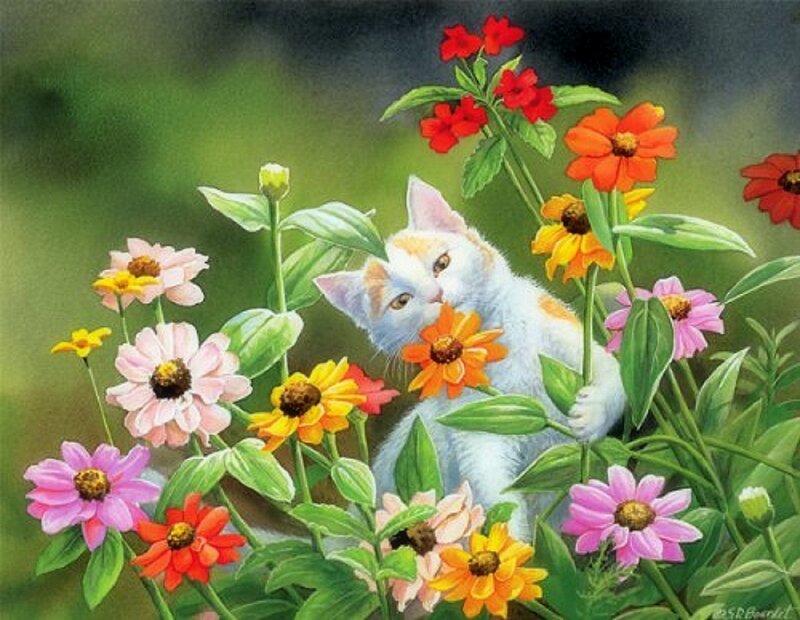 White Kitten in Flowers — Green, Serene, Summer