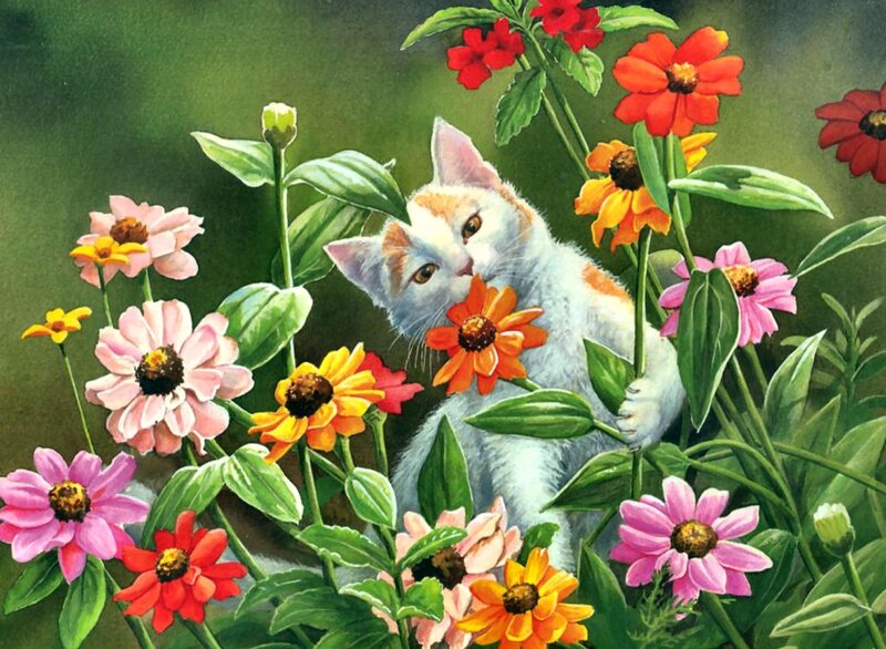 White Kitten in Flowers — Green, Serene