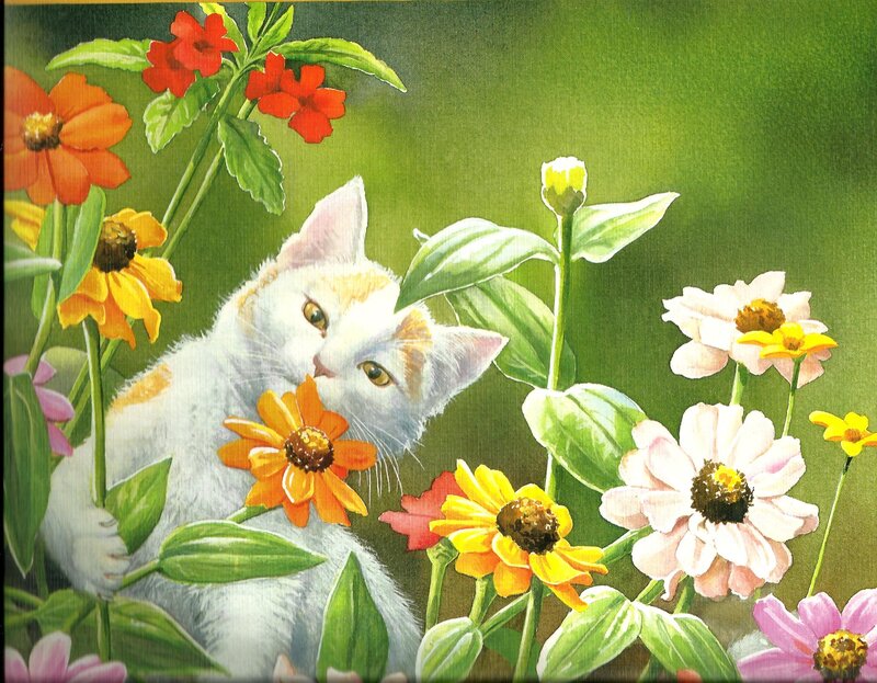 White Kitten in Flowers — Green