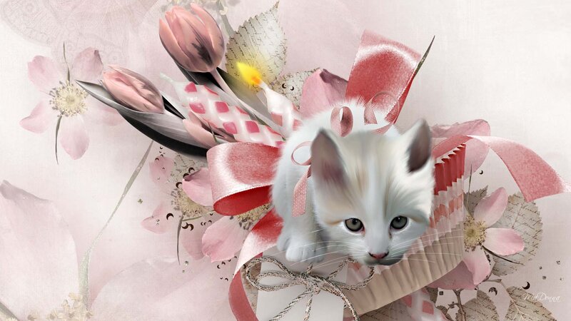 White Kitten in Flowers — Pink