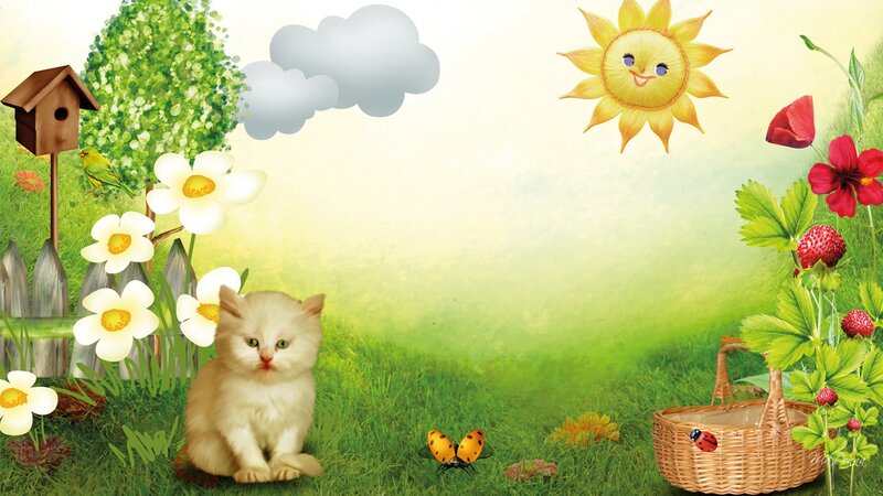 White Kitten in Garden — Green, Serene
