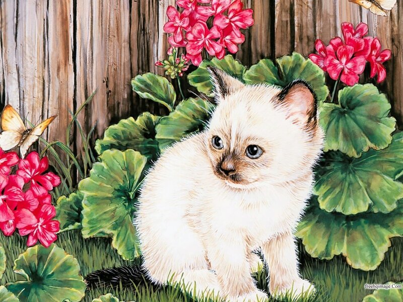 White Kitten in Garden — Green