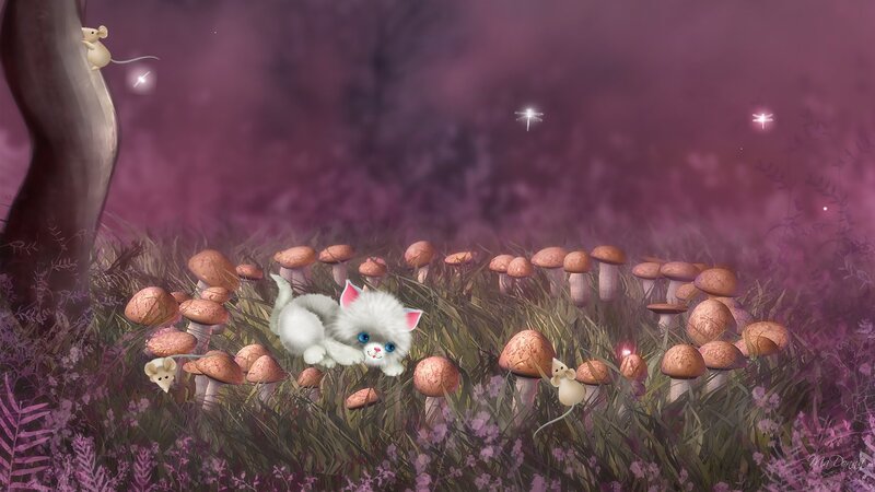 White Kitten in Mushrooms