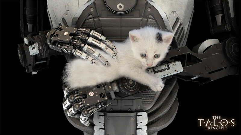 White Kitten in Robot Arms