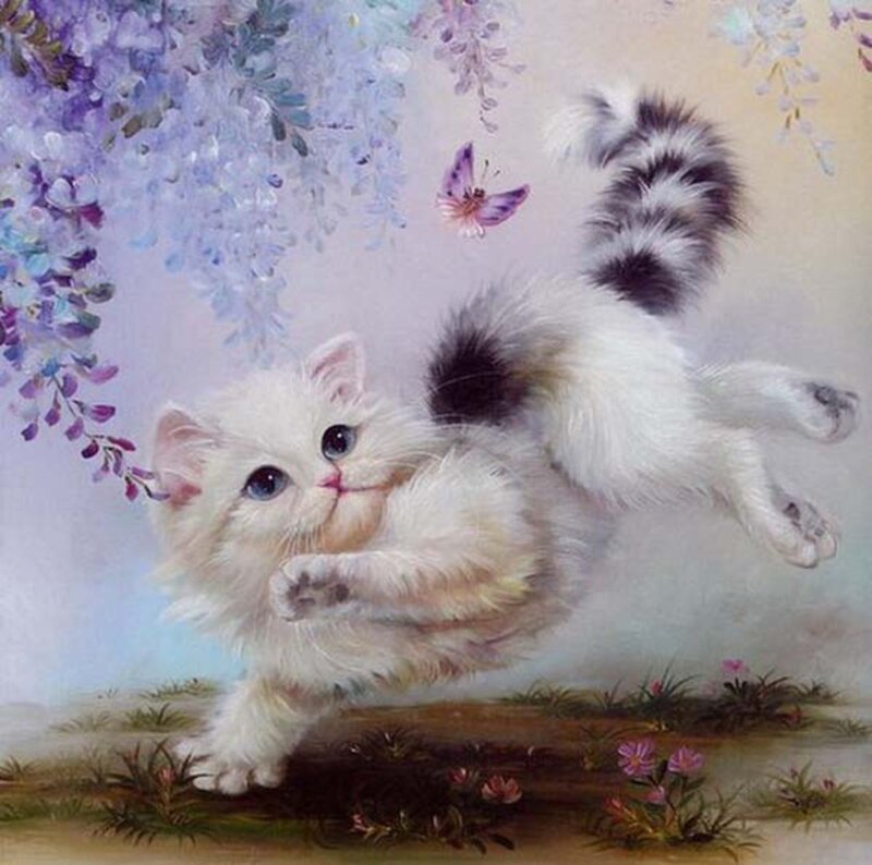 White Kitten Playing — Playful, Spring