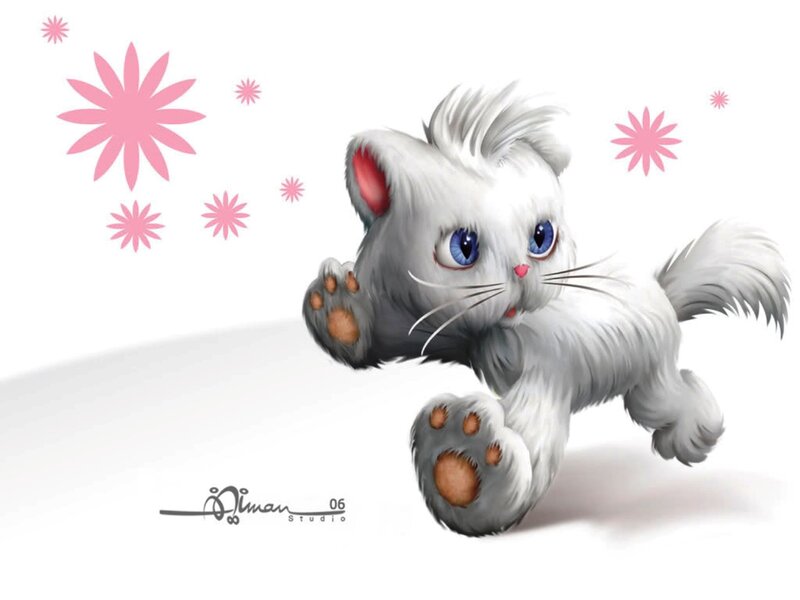White Kitten Running