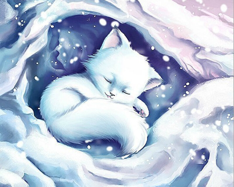 White Kitten Sleeping — Serene, Winter