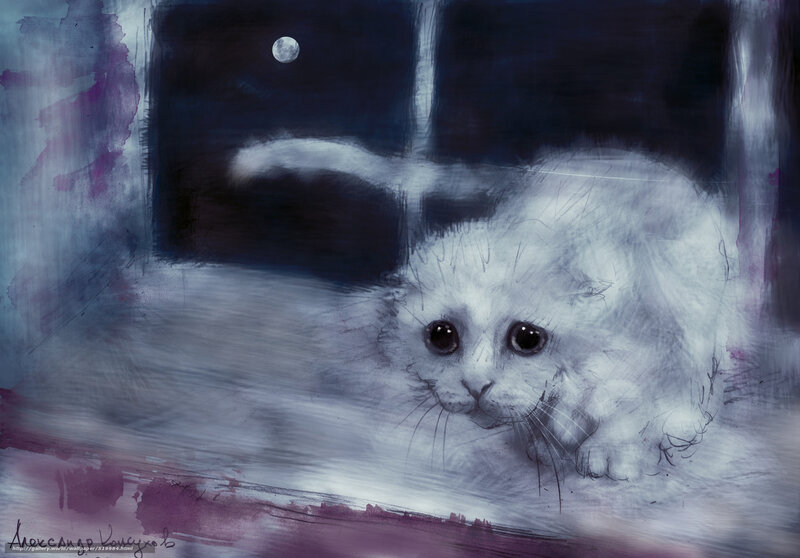 White kitten under moonlight