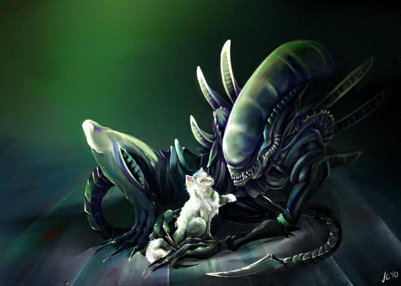 White Kitten with Aliens