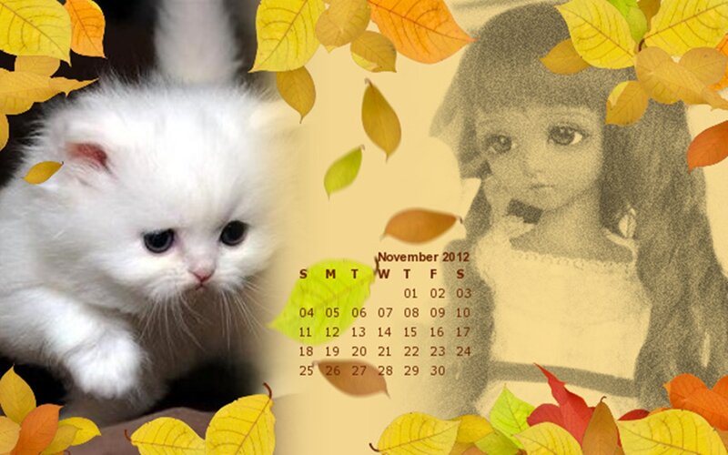 White Kitten with Autumn Leaves