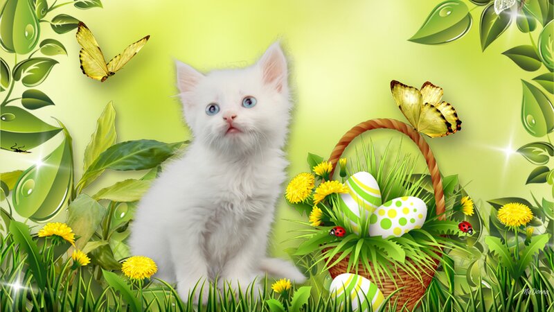 White Kitten with Basket
