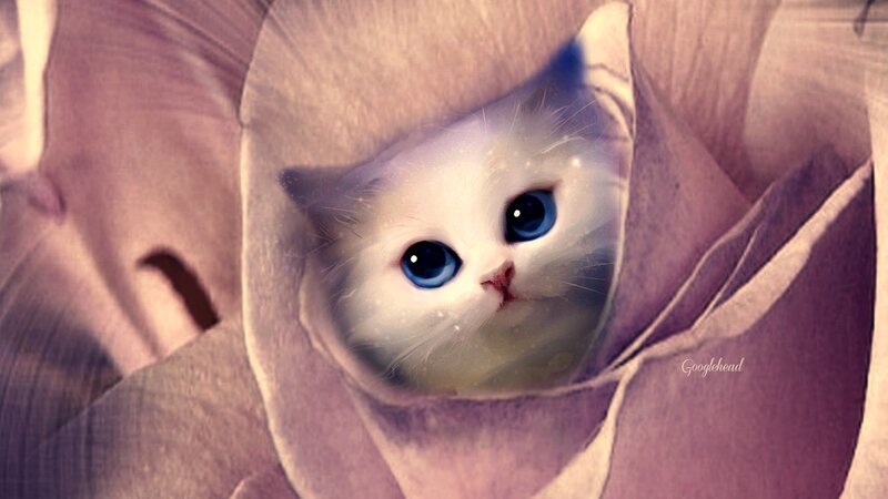 White Kitten with Blue Eyes — Calm, Digital Art