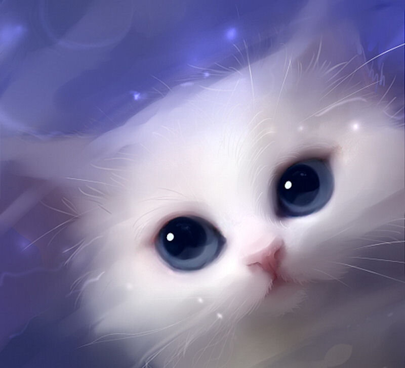 White Kitten with Blue Eyes — Dreamy