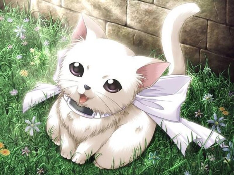 White Kitten with Bow — Peaceful, Afternoon, Anime