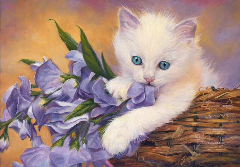 White Kitten with Flowers — Purple, Calm