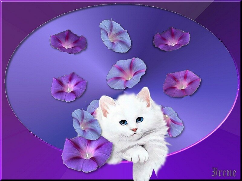 White Kitten with Flowers — Purple