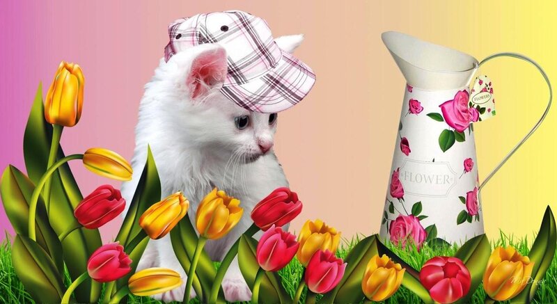 White Kitten with Hat — Pink