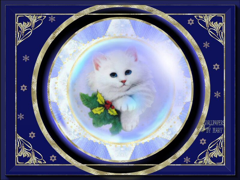 White Kitten with Holly