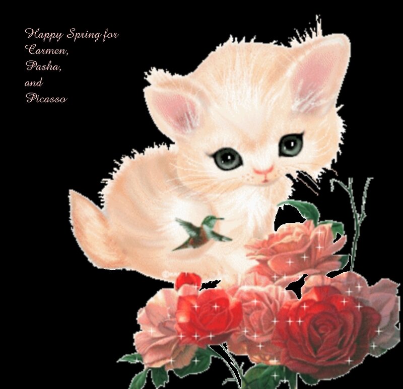 White Kitten with Roses — Peaceful