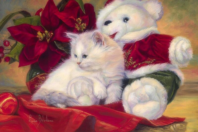 White Kitten with Teddy Bear