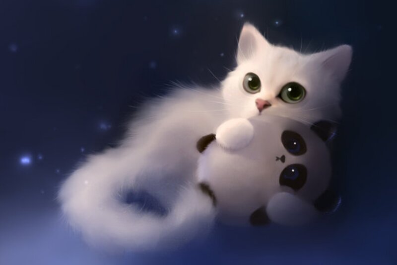 White Kitten with Toy — Blue, Calm