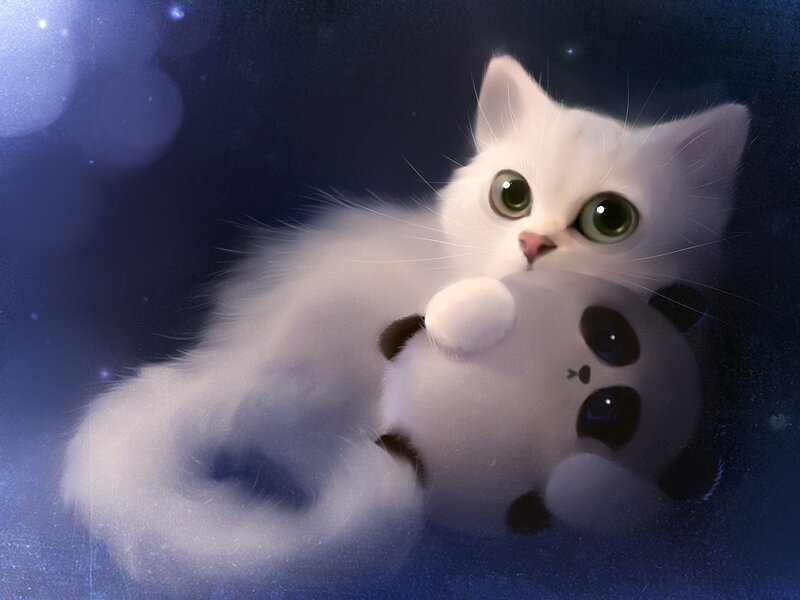 White Kitten with Toy — Blue, Serene