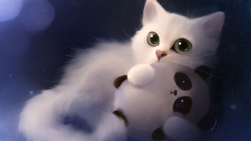 White Kitten with Toy — Calm, Night