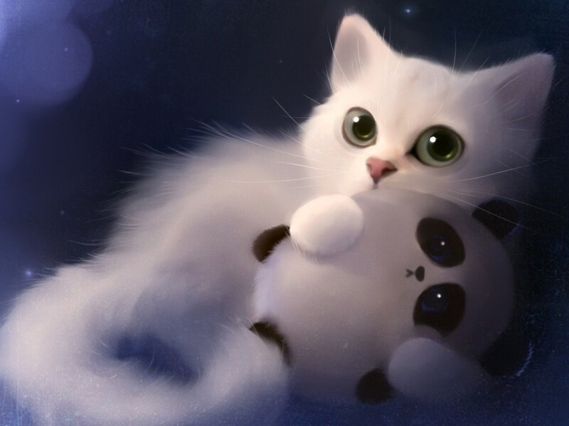 White Kitten with Toy — Calm