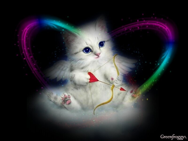 White Kitten with Wings — Magical
