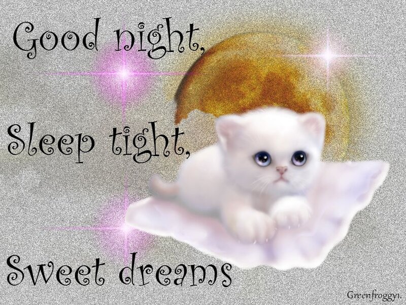 White Kitten with Wings — Serene, Night