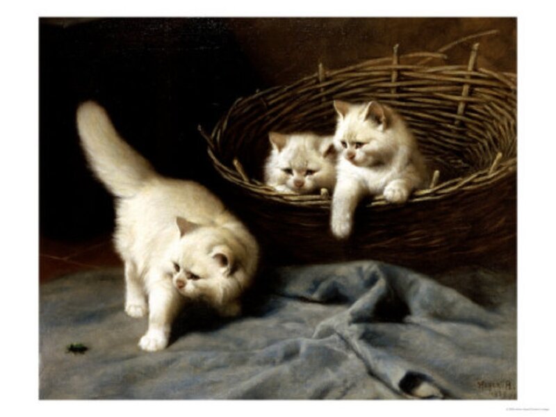 White Kittens in Basket — Calm, Painting