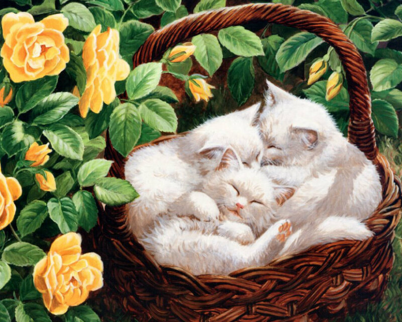 White Kittens in Basket — Serene, Spring, Painting, Roses