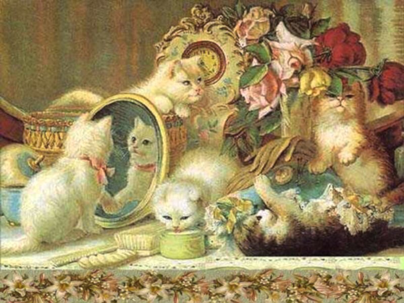 White Kittens in Still Life
