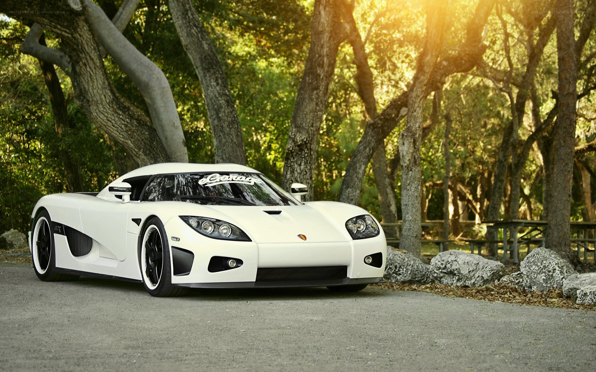 White Koenigsegg in forest