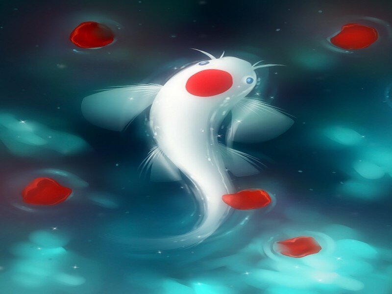 White Koi Fish