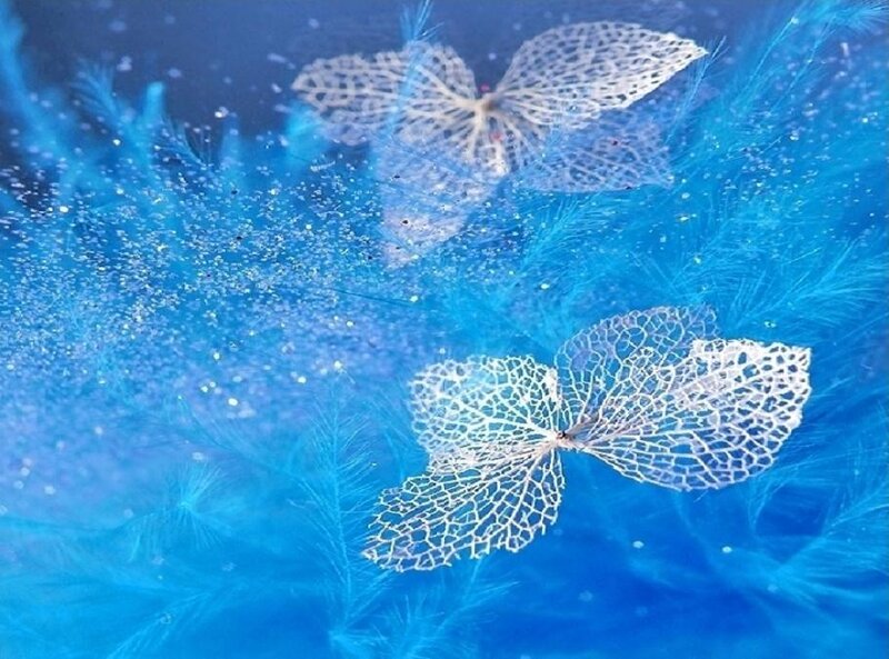 White Lace Butterflies