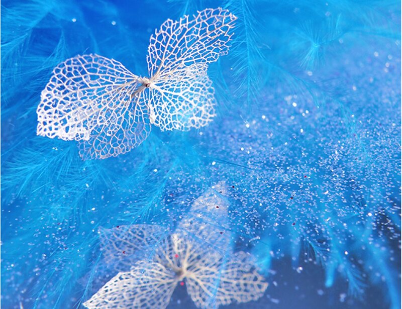 White Lace Butterfly