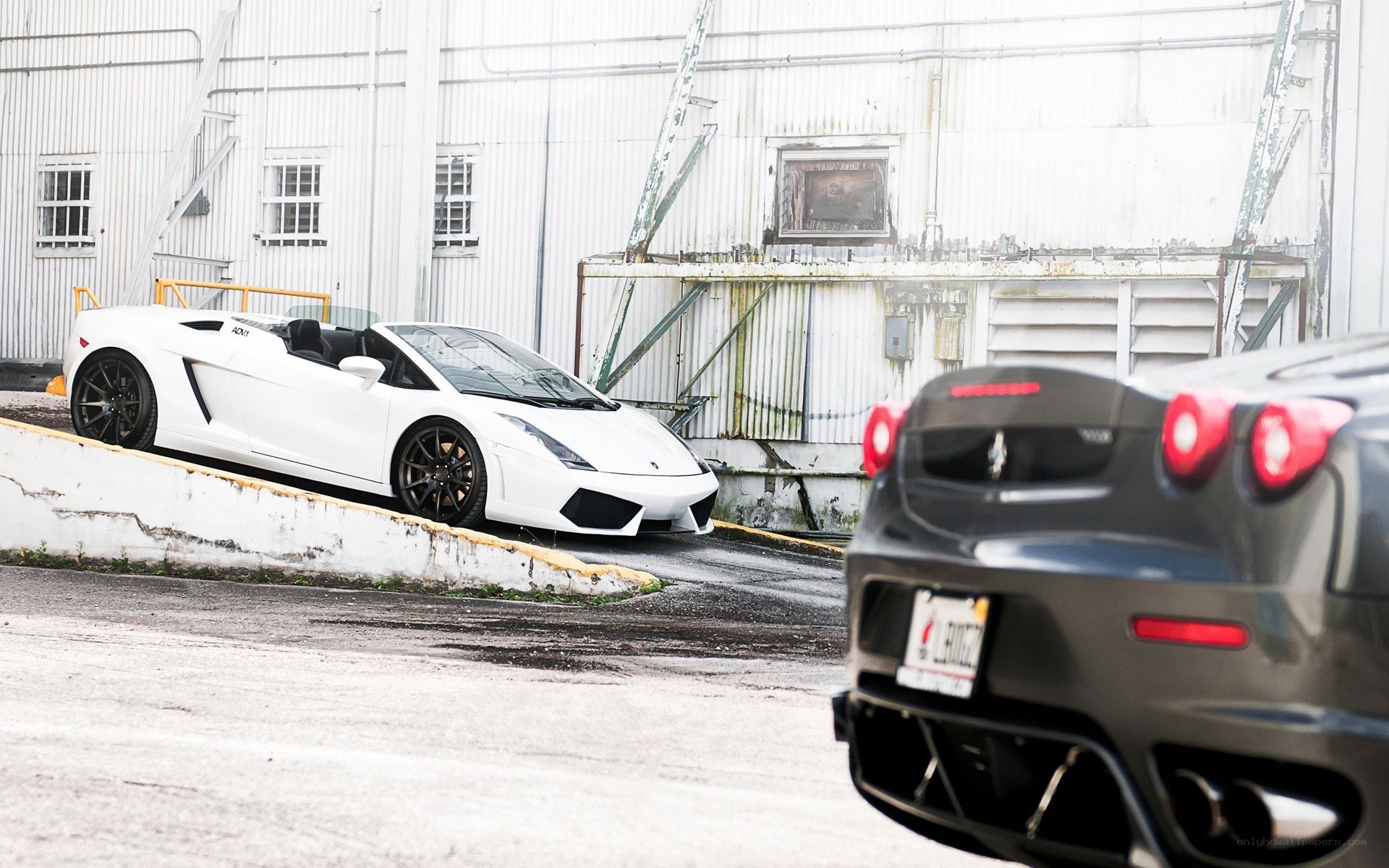 White Lamborghini and black Ferrari