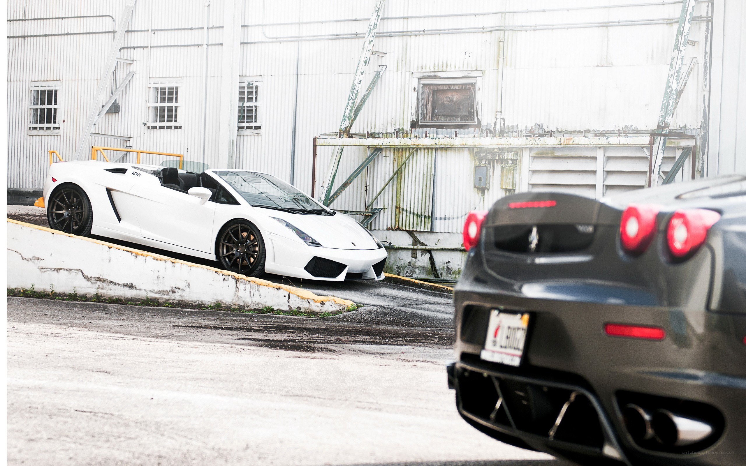 White Lamborghini and black Ferrari