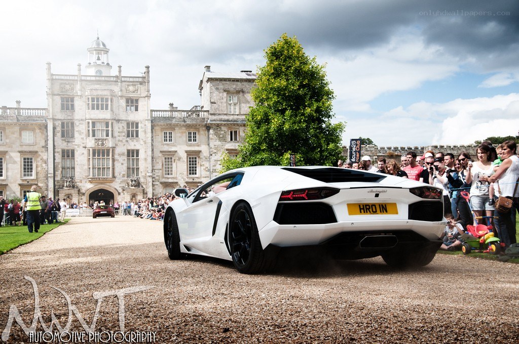 White Lamborghini at a car event