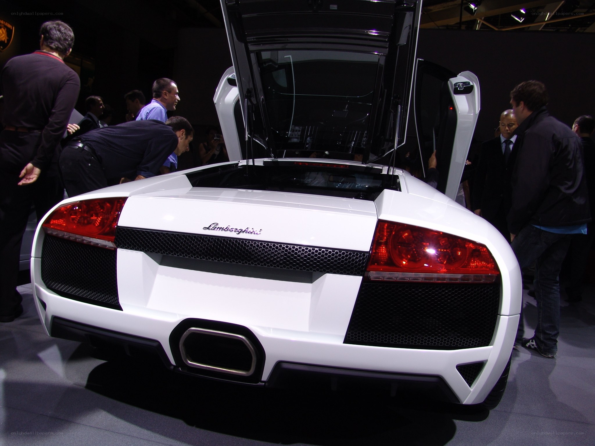 White Lamborghini at auto show
