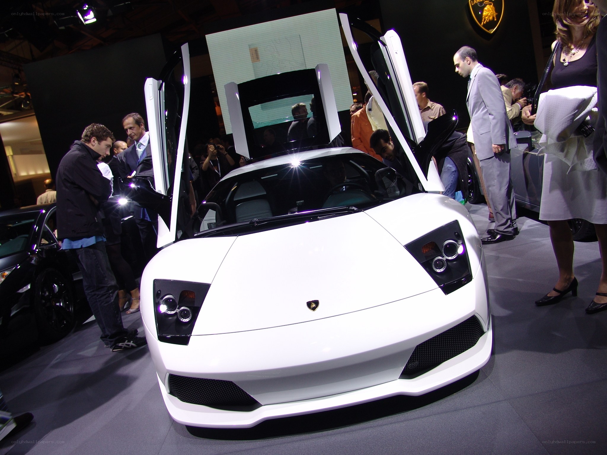 White Lamborghini at auto show