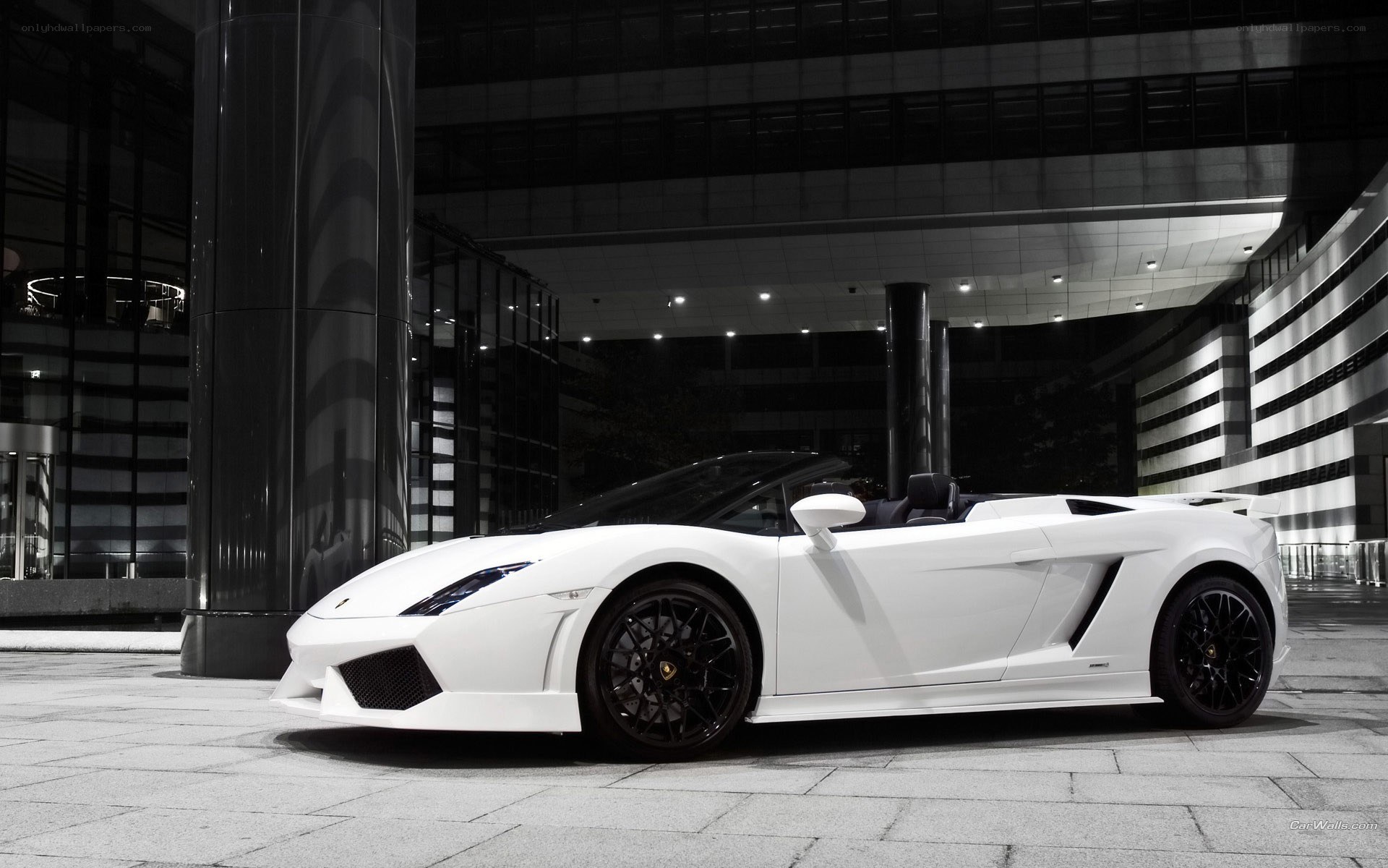 white lamborghini at night