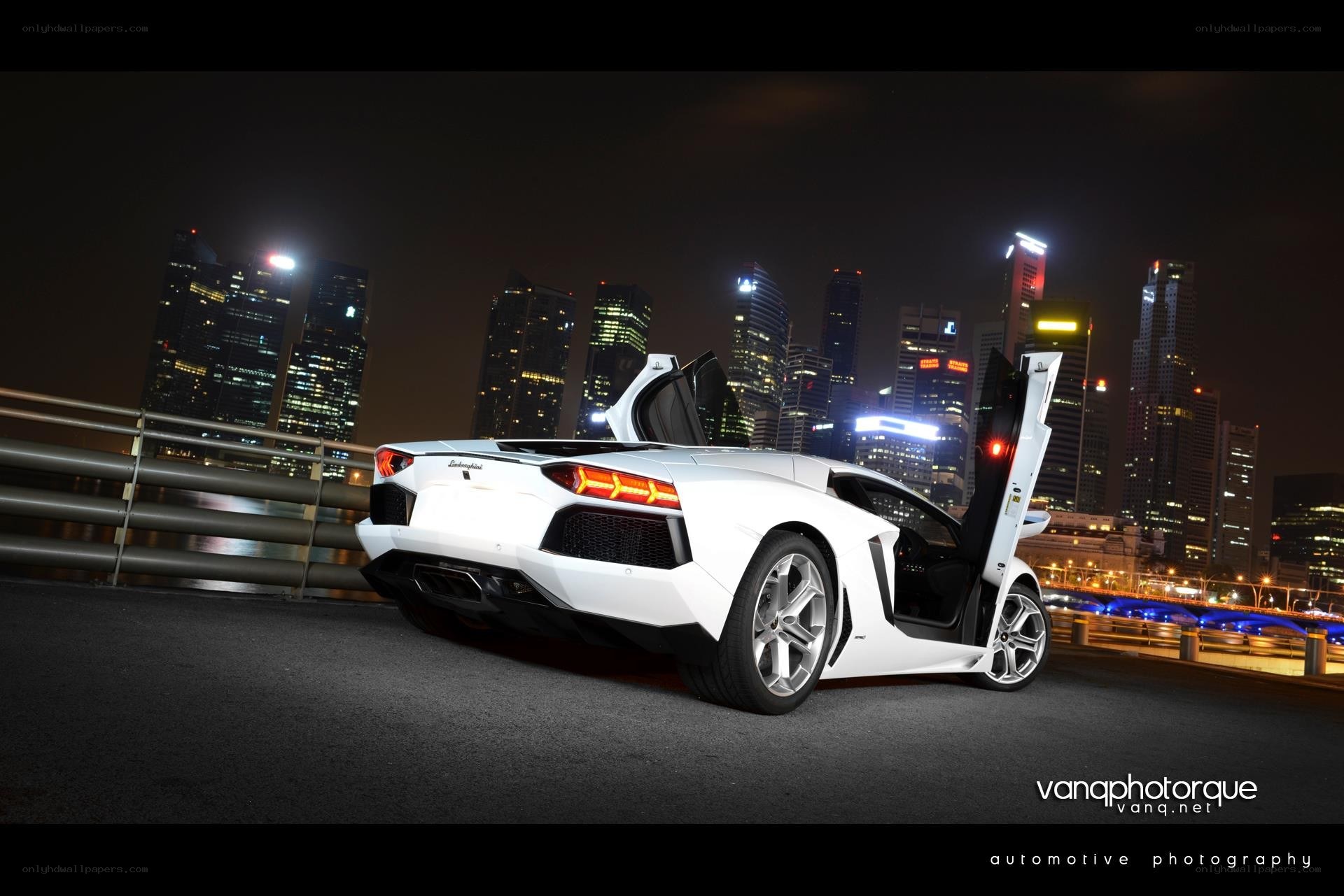 white lamborghini at night